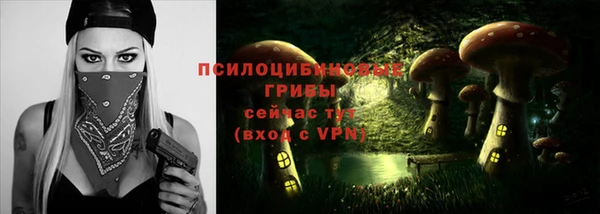 мдпв Майский