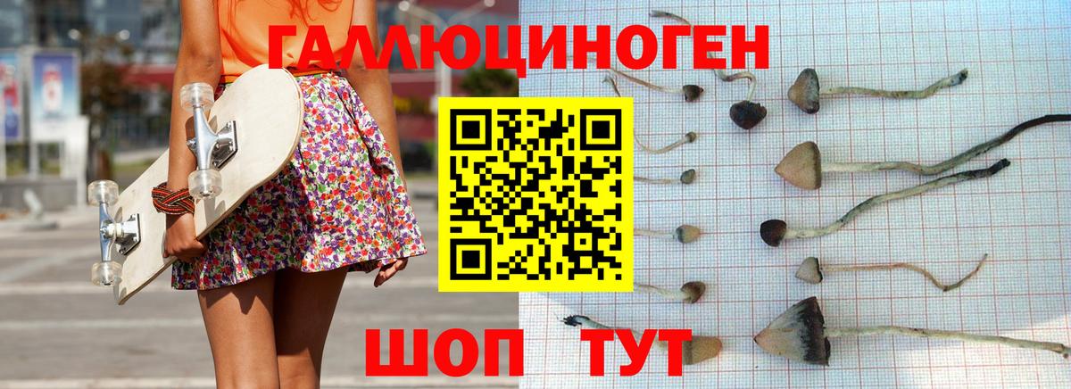 Псилоцибиновые грибы Psilocybine cubensis Чапаевск
