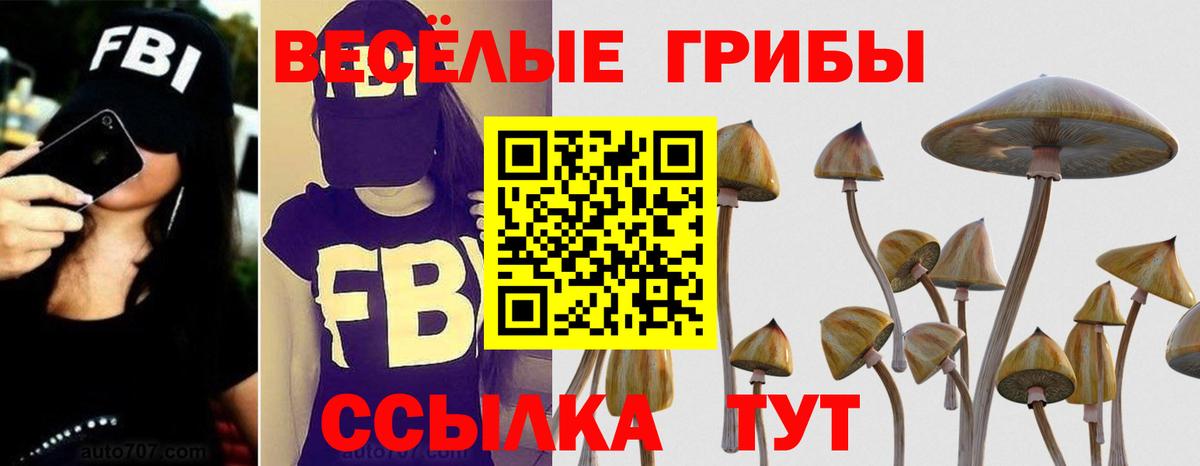 Галлюциногенные грибы Psilocybe  цена   Чапаевск 